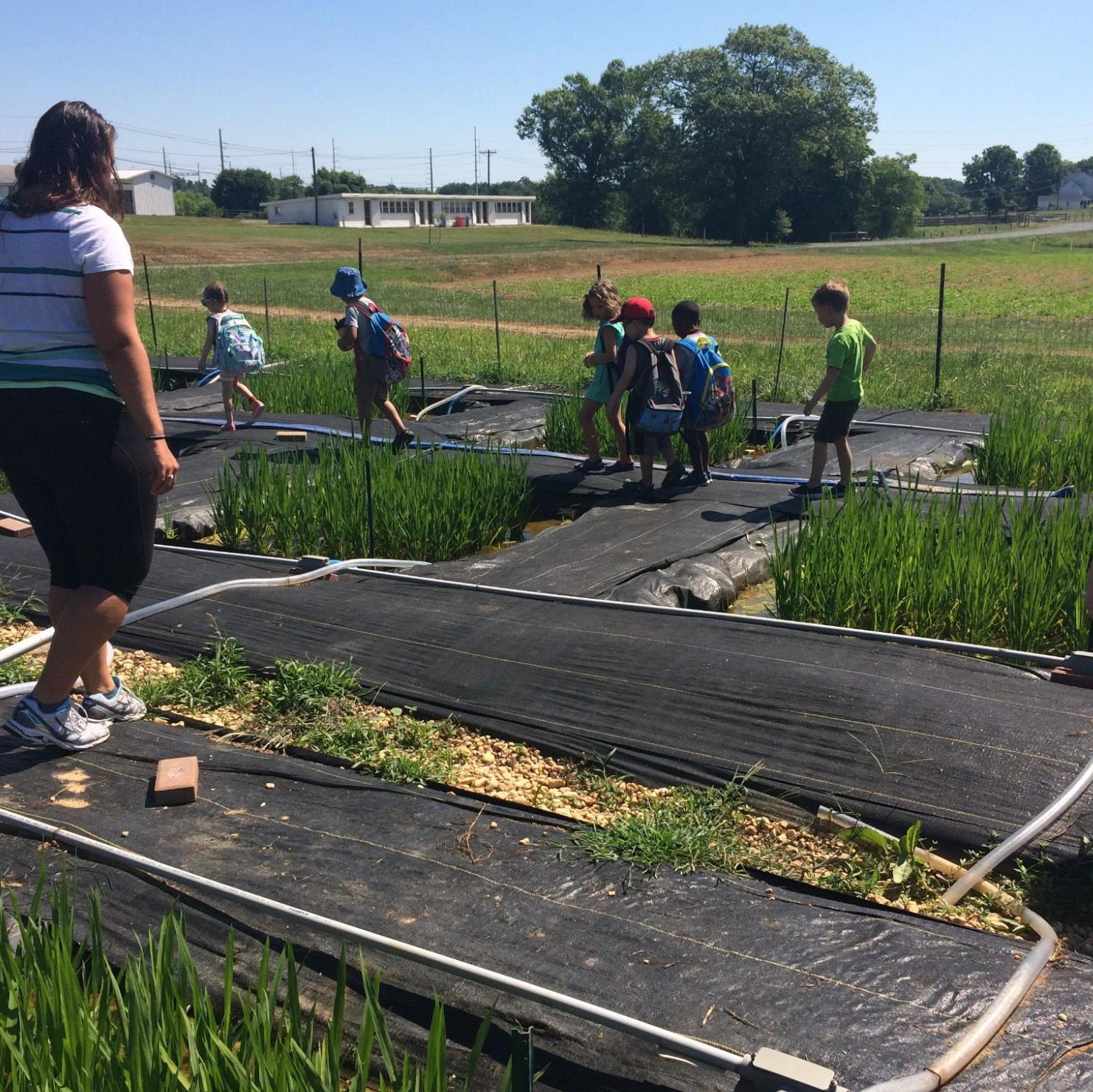 Small chidlren visiting the test plots halfway through the growth process.