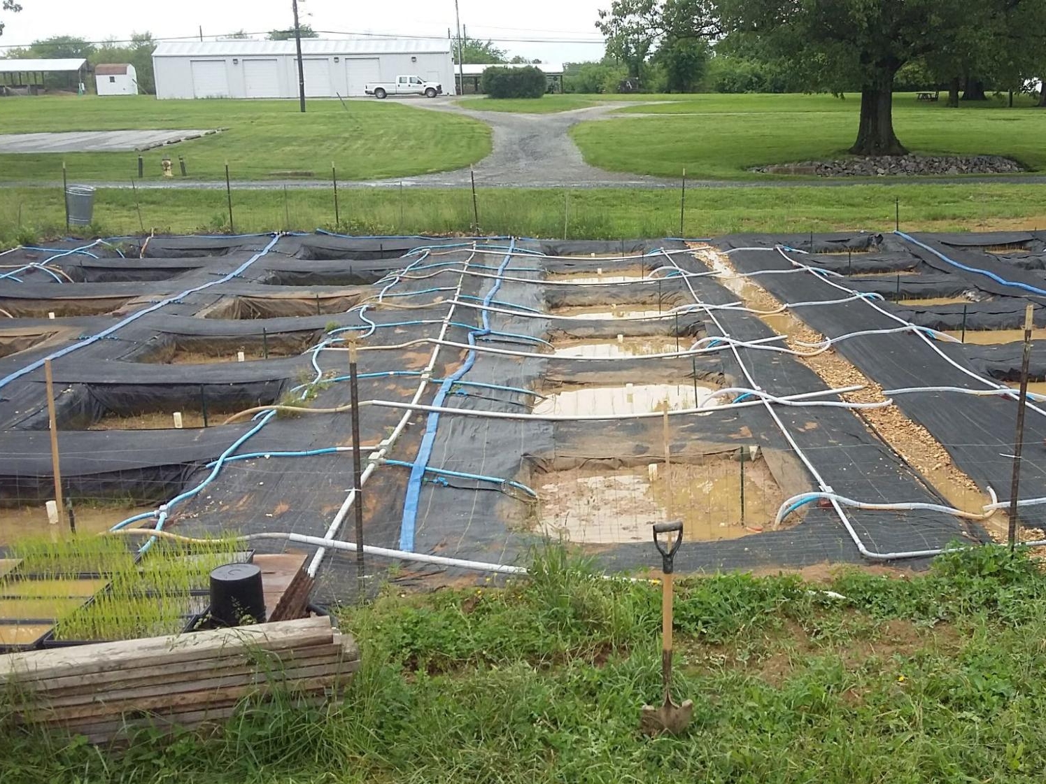 A test plot with black netting, stakes, irrigation setup and small pits.