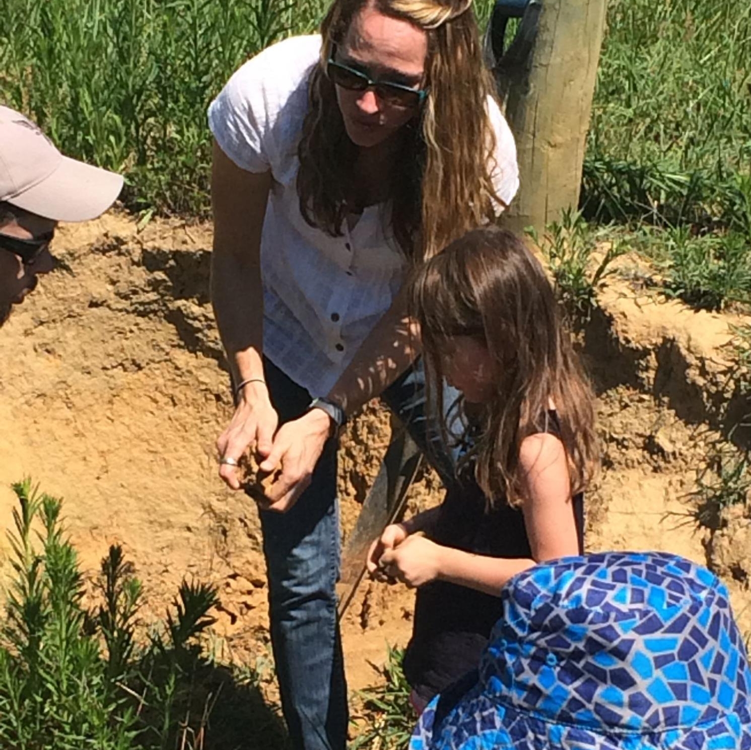 Small chidlren visiting the test plots and a teach showing them the plants.