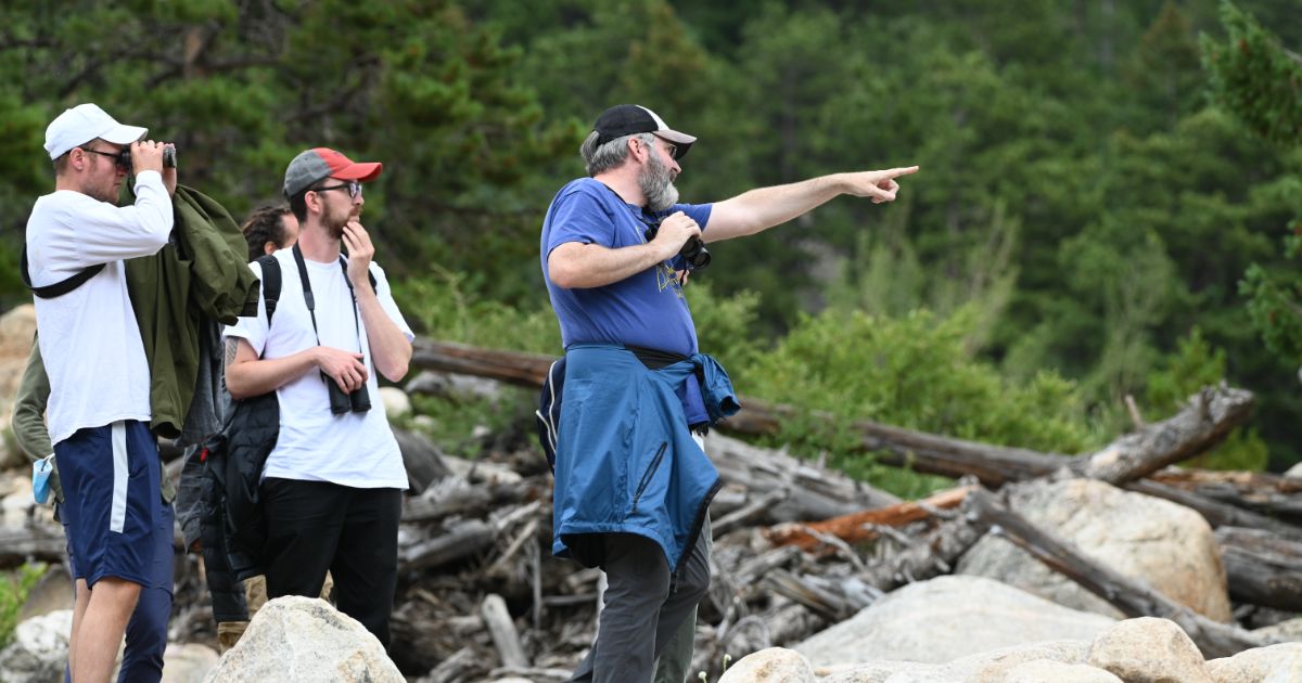 In Rocky Mountain National Park, Matt Hardy (left), Jeff Buler (right) and a park visitor (center) watch for birds. Buler points at a bird in the distance while Hardy holds up binoculars.