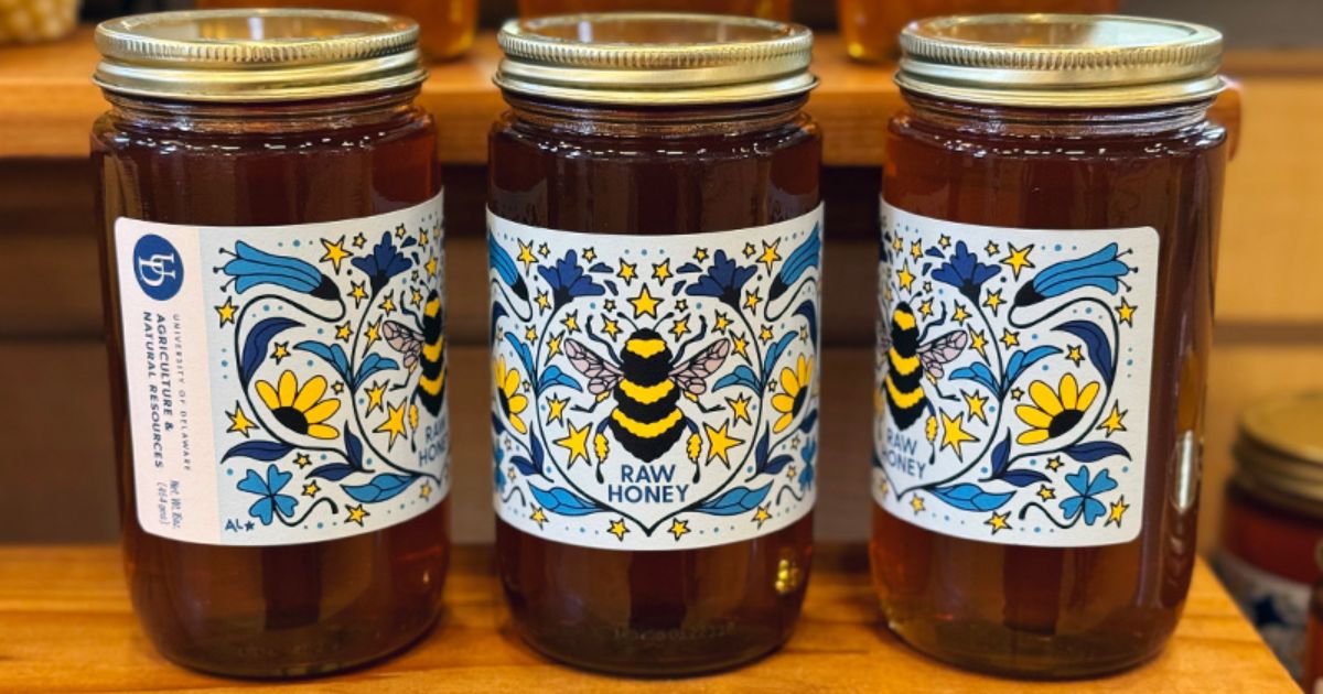 Three jars of honey next to each other on a table.