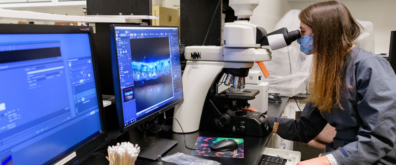 Student looking at old manuscripts through microscope