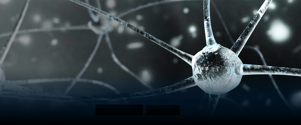 A close-up view of the neuron network inside the brain, captured using functional magnetic resonance imaging.