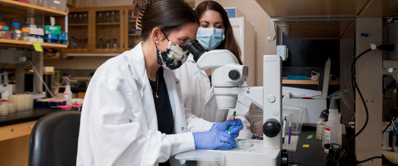 Two women in white lab coats looking at a microscope in a lab setting