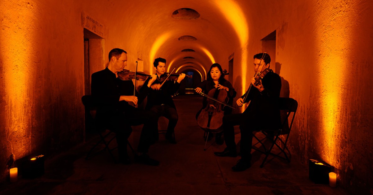 Members of Calidore String Quartet playing their instruments