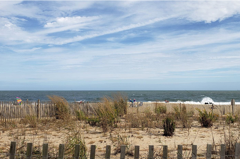 A sandy beach facing the Atlantic Ocean with dune grasses in the foreground protected by a wood fence.