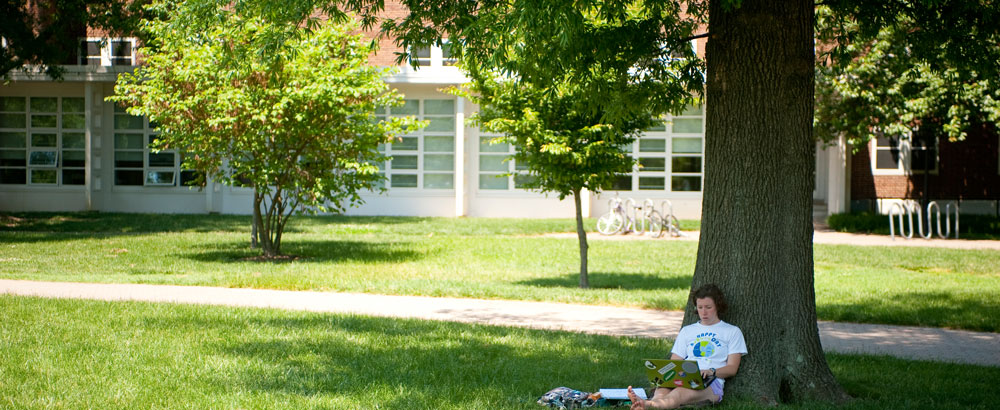 Student works on a laptop under a tree outside Lane and Thompson