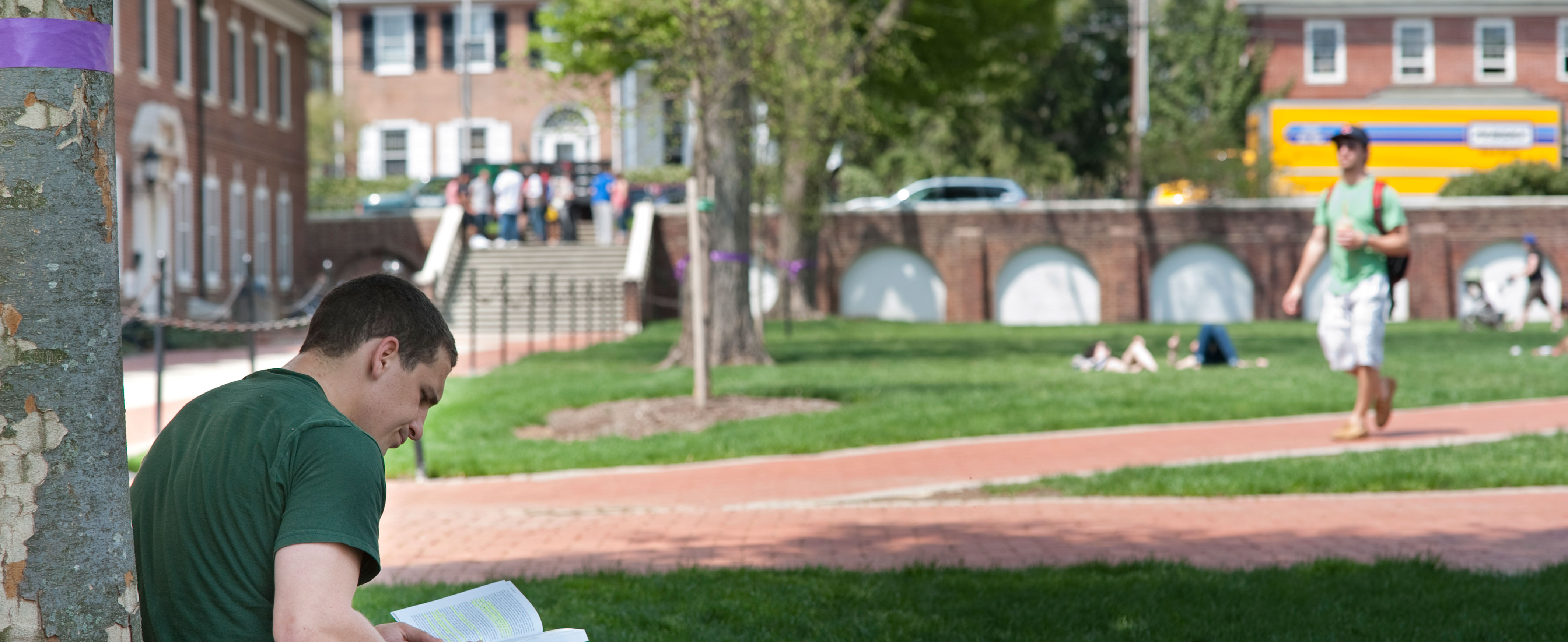 Student studying in the shade of a tree on The Green outside the North Central residence halls