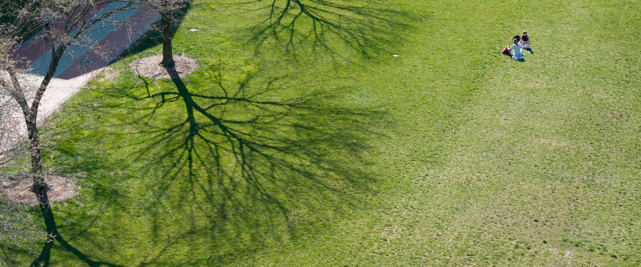Aerial view of tree shadows on The Green