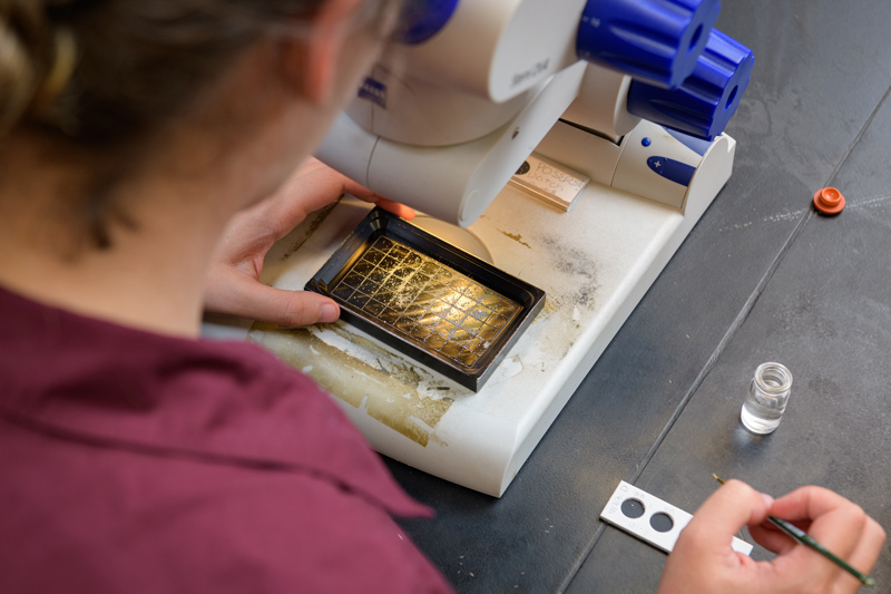 Student in lab examining microorganisms from ocean sample