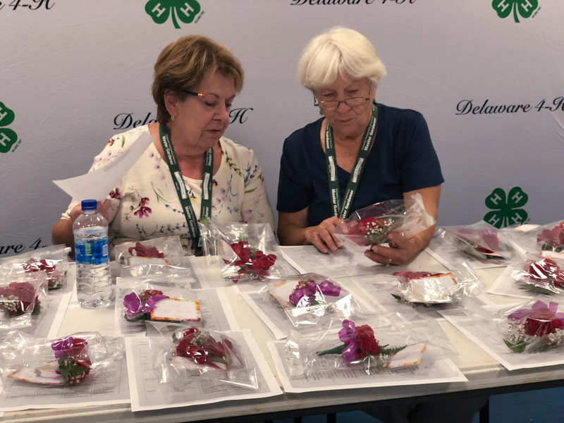 Master Gardeners judge various state fair competition submissions each year, in both the 4-H and open divisions. In this image, they are judging floral boutonniere arrangements.