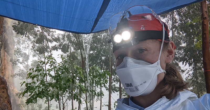 UD College of Agriculture and Natural Resources alumna Rebekah Kading braves the elements for fieldwork with bats in Uganda during the rainy season. 