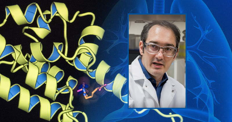 University of Delaware professor Karl Schmitz and his lab recently received a $1.88 million RO1 grant to map the biology of the bacterium that causes tuberculosis.