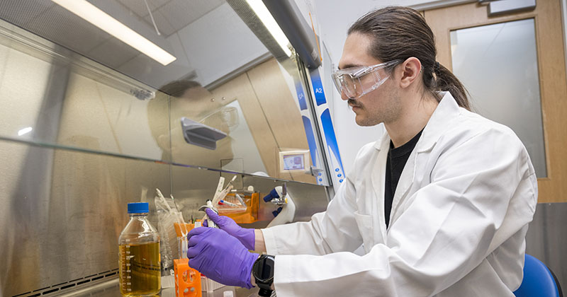 Working with faculty member Mark Blenner, University of Delaware senior Aidan Gensure aims to find ways to reduce food oil production costs by using agricultural waste to fuel yeast cells in creating these oils. The yeast cells are prepared from a cryostock, ensuring the yeast cells are the same for each experiment. 