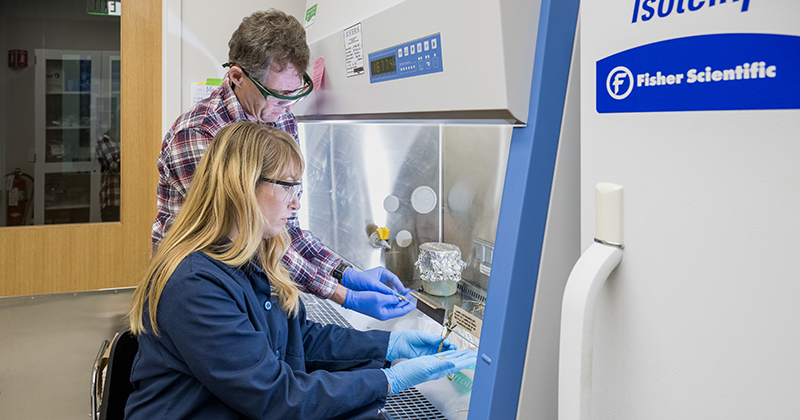 Entomologist Brian Kunkel and plant diagnostician Jill Pollok work together to diagnose plant diseases and identify invasive species threatening ecosystems.