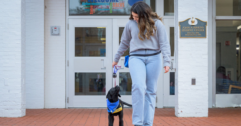 Senior Jamie Klemm with future service dog Morado outside Perkins Student Center. Klemm is a member of Collar Scholars, a student organization that raises puppies for the nonprofit Canine Companions. 