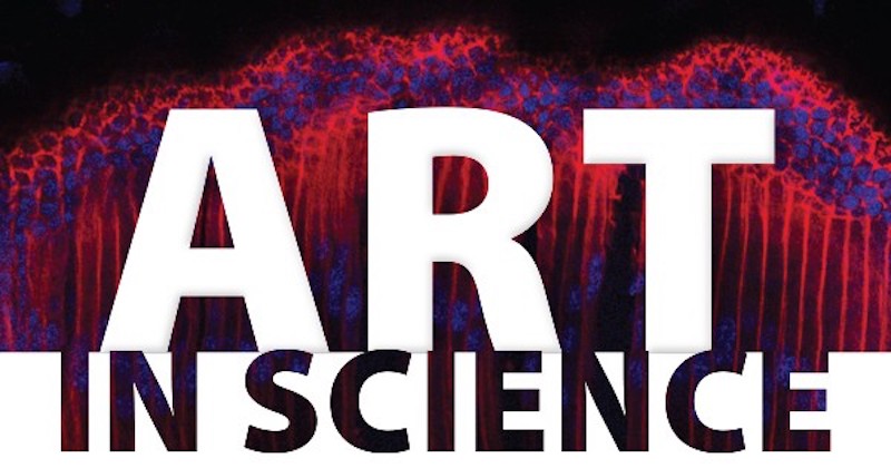 Art in Science exhibit