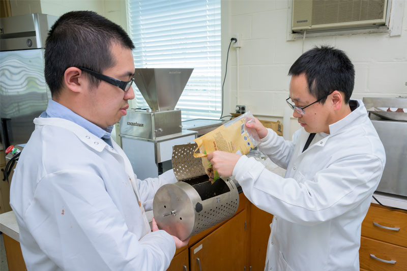 Juzhong Tan adds raw cocoa beans into a drum roaster for roasting, which will develop flavors and eliminate microbes. Juzhong Tan adds raw cocoa beans into a drum roaster for roasting, which will develop flavors and eliminate microbes.