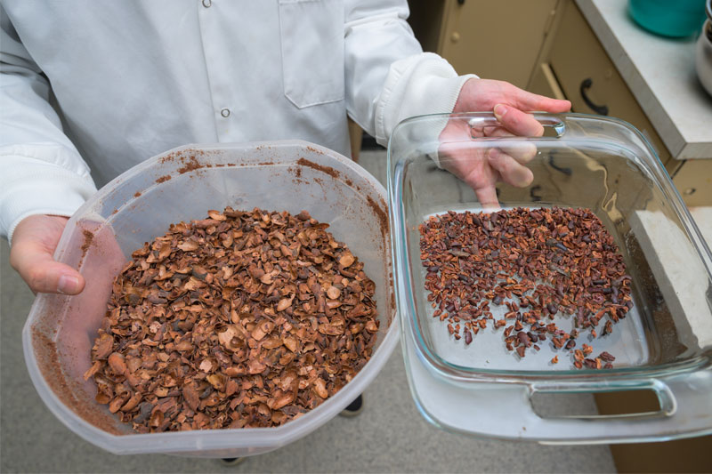 The cocoa husks (left) and nibs (right) are separated after winnowing. The cocoa husks (left) and nibs (right) are separated after winnowing.