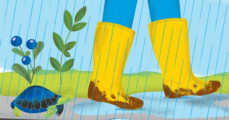 A child walks in rain boots along a path outside.