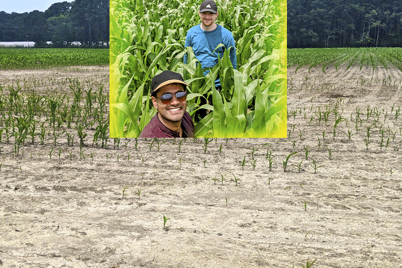 University of Delaware doctoral candidate Manan Sarupria has developed a machine learning algorithm combined with field data to examine the proportion of Delmarva farmland land cover that was identified as salt patches or marshes. University of Delaware doctoral candidate Manan Sarupria has developed a machine learning algorithm combined with field data to examine the proportion of Delmarva farmland land cover that was identified as salt patches or marshes.