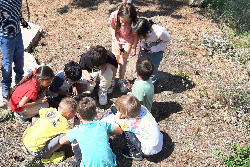 Wolff is the K-5 science laboratory teacher at Flagstaff Academy in Colorado. In the school’s outdoor classroom, her students observe the natural world in a hands-on, inquiry-based way. Wolff is the K-5 science laboratory teacher at Flagstaff Academy in Colorado. In the school’s outdoor classroom, her students observe the natural world in a hands-on, inquiry-based way.