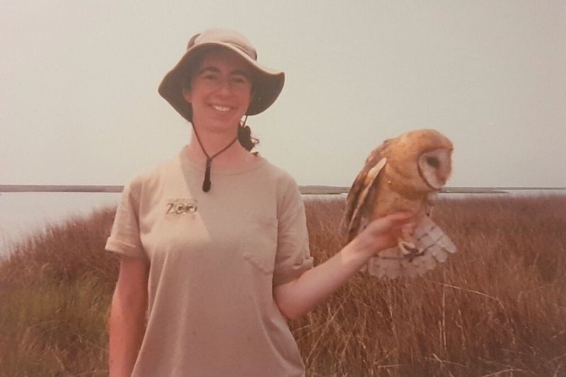 After graduating from UD, Wolff worked as a coastal bays biodiversity technician for the Maryland Department of Natural Resources. After graduating from UD, Wolff worked as a coastal bays biodiversity technician for the Maryland Department of Natural Resources.