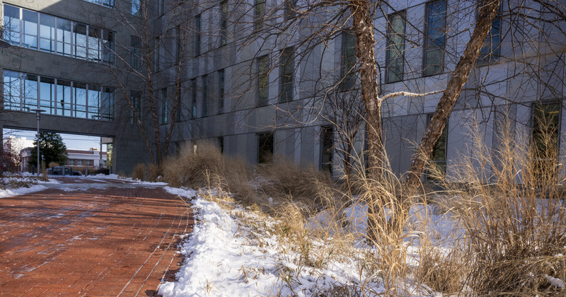 Ice and snow coat the grounds outside of the Harker ISE Lab in January 2025. Ice and snow coat the grounds outside of the Harker ISE Lab in January 2025.