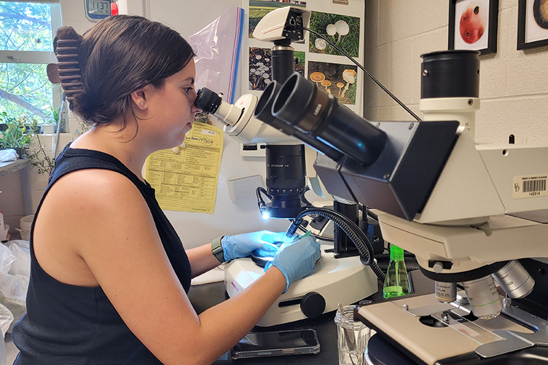 Jessica Weyl, a senior plant science major and an intern in Jill Pollok’s lab, uses the microscope to examine plant samples and diagnose problems. Jessica Weyl, a senior plant science major and an intern in Jill Pollok’s lab, uses the microscope to examine plant samples and diagnose problems.