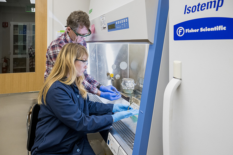 Entomologist Brian Kunkel and plant diagnostician Jill Pollok work together to diagnose plant diseases and identify invasive species threatening ecosystems.