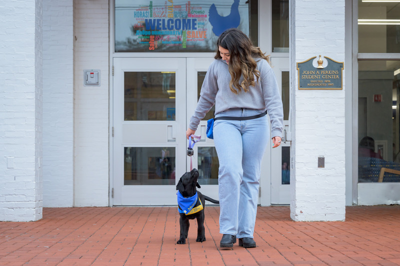 Senior Jamie Klemm with future service dog Morado outside Perkins Student Center. Klemm is a member of Collar Scholars, a student organization that raises puppies for the nonprofit Canine Companions. 