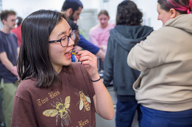 A student eats a silkworm pupa. A student eats a silkworm pupa.