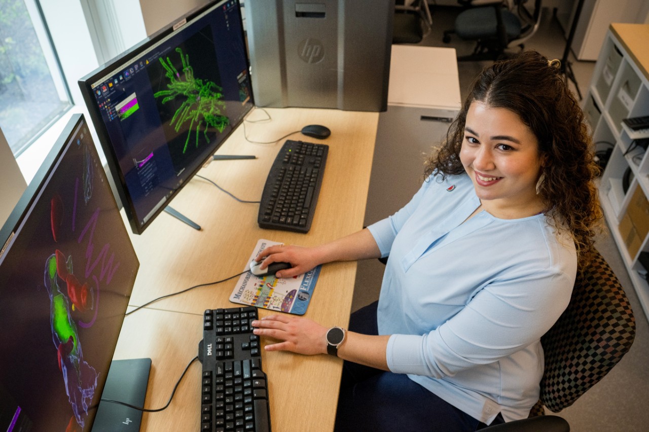 Malek Elsayyid works on biology research in the Ammon Pinizzotto Biopharmaceutical Innovation Center. Malek Elsayyid works on biology research in the Ammon Pinizzotto Biopharmaceutical Innovation Center.