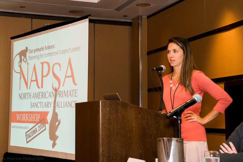 As a longtime director with the North American Primate Sanctuary Alliance, Erika Fleury spent 10 years advocating for chimpanzees in need, a passion she discovered as an undergraduate at UD. As a longtime director with the North American Primate Sanctuary Alliance, Erika Fleury spent 10 years advocating for chimpanzees in need, a passion she discovered as an undergraduate at UD.