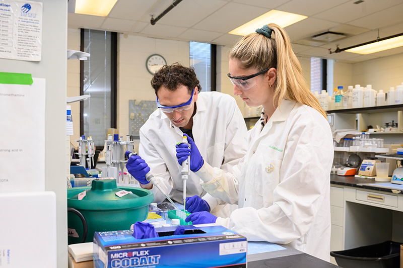 Biochemistry doctoral student Matthew Marino (L) and chemical biology doctoral candidate Amanda Sensi (R) are culturing cells as part of efforts to better understand Alzheimer’s disease. Biochemistry doctoral student Matthew Marino (L) and chemical biology doctoral candidate Amanda Sensi (R) are culturing cells as part of efforts to better understand Alzheimer’s disease.