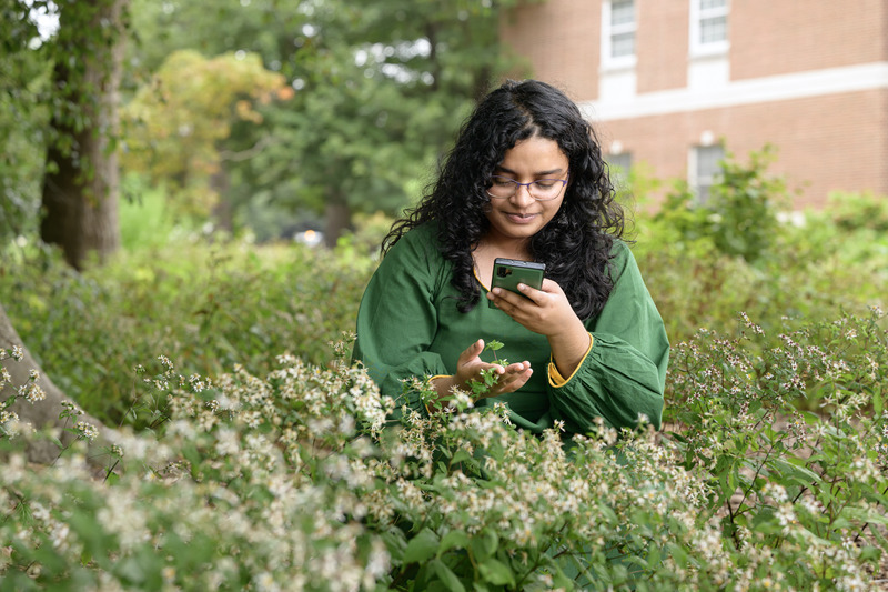 Aleena Sabir, a senior landscape architecture major, spent the summer conducting undergraduate research on campus maintenance related to planting. Her work is helping UD Facilities, Real Estate and Auxiliary Services with its first-ever landscape maintenance plan. Aleena Sabir, a senior landscape architecture major, spent the summer conducting undergraduate research on campus maintenance related to planting. Her work is helping UD Facilities, Real Estate and Auxiliary Services with its first-ever landscape maintenance plan.