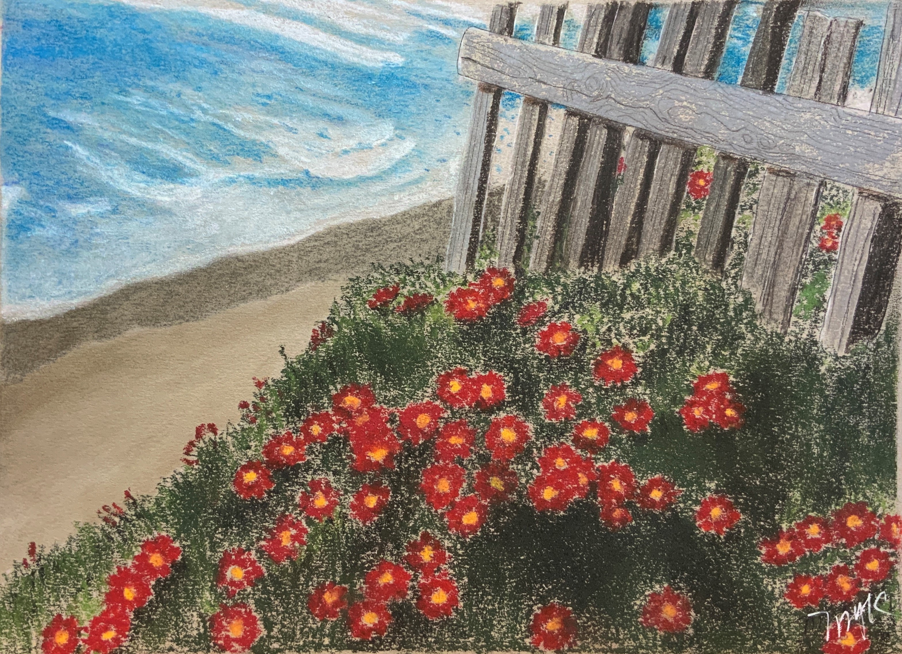 Beach and Flowering Yard