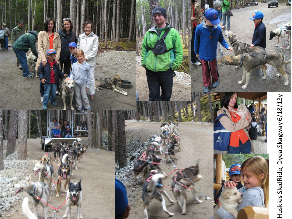 Huskies Sled Ride