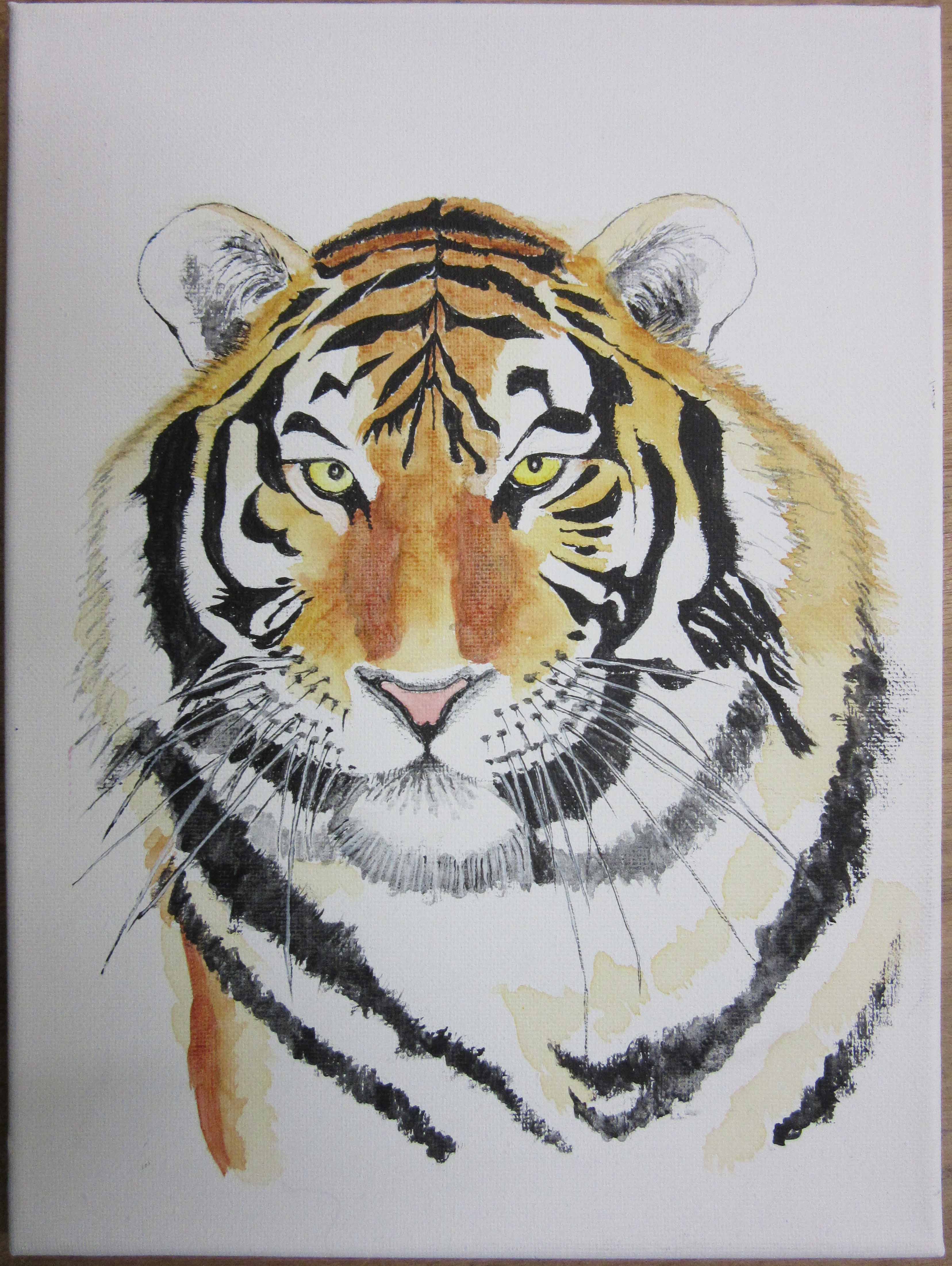 tiger